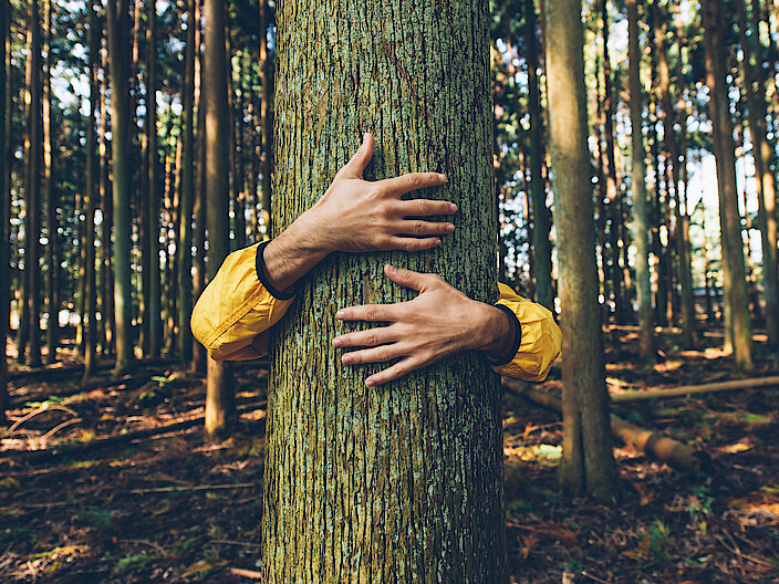 Man,Hugging,Tree,Bark