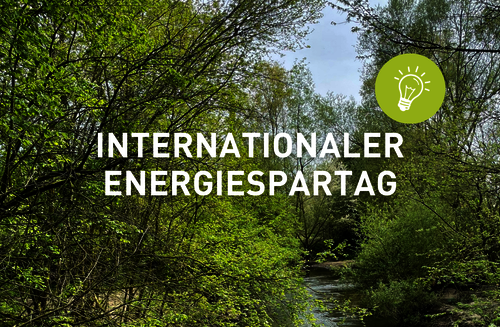 Blick auf grüne Bäume an einem Fluss